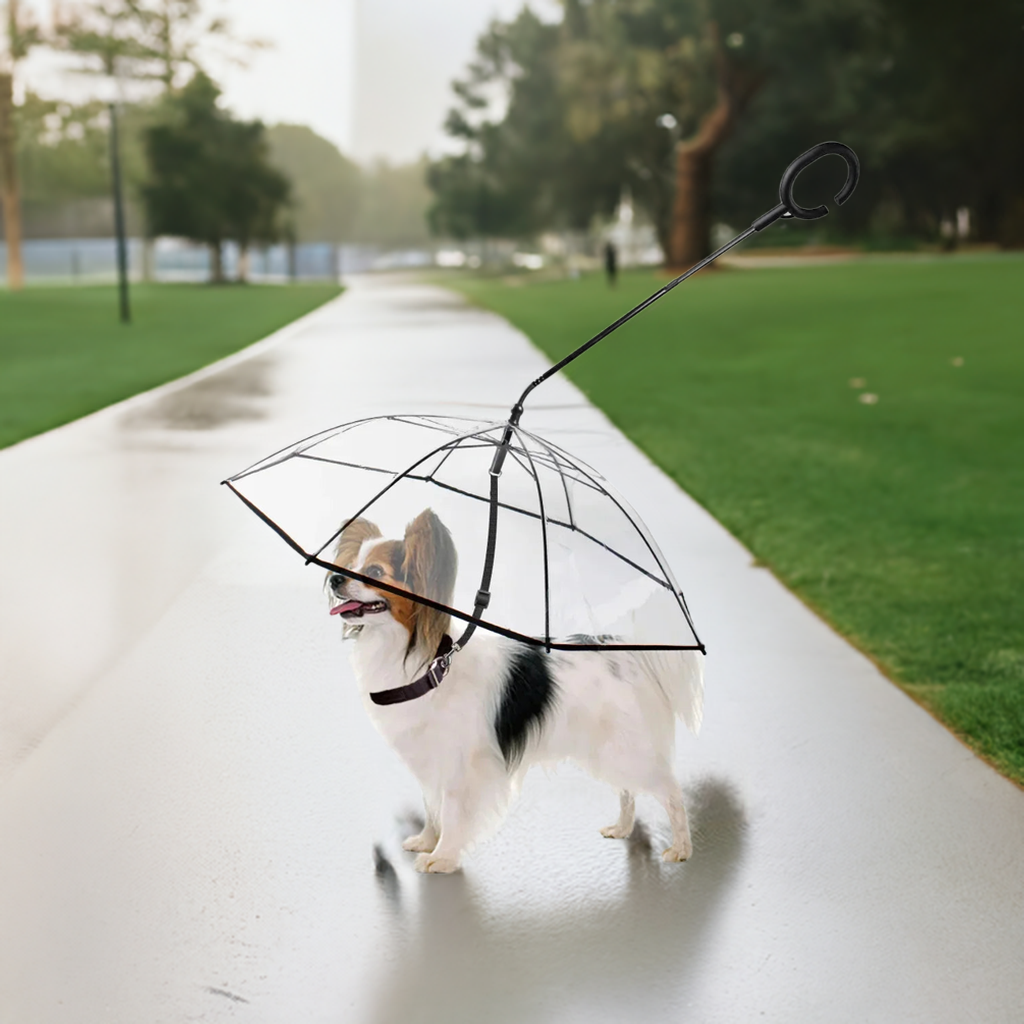 Dog Umbrella